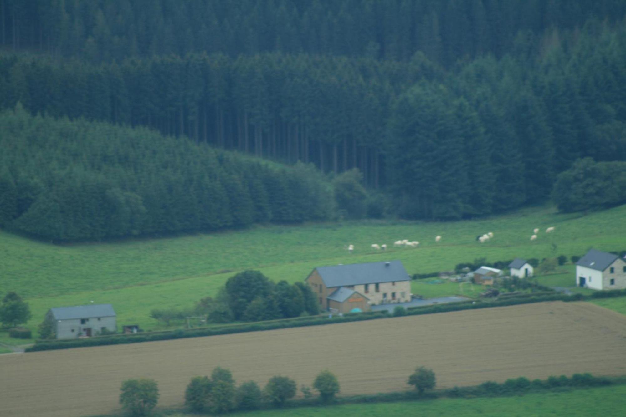 Chambres D'Hotes Les Trappeurs Silence & Nature Tenneville Buitenkant foto